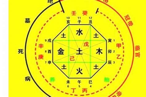 喜木火|如何确定自己的八字喜用神